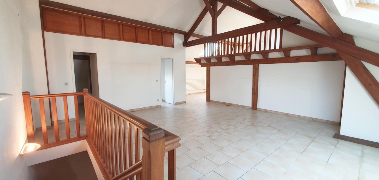 Maison de 225m² hab. sur 4 niveaux dont un de sous-sol sur terrain de 748m² - Image #11